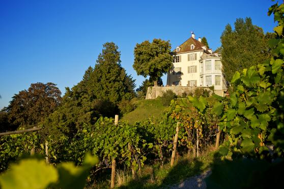 500 000 Franken für Schlosspark Arenenberg