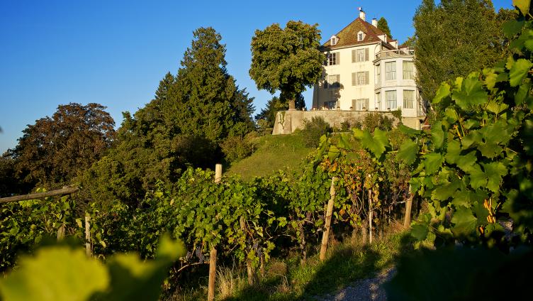 500 000 Franken für Schlosspark Arenenberg