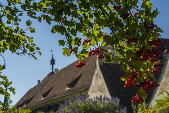 Kunstmuseum: Risse in der Idylle