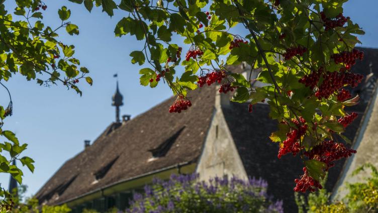 Kunstmuseum: Risse in der Idylle